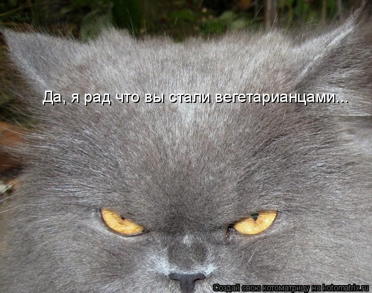 Да, я рад что вы стали вегетарианцами...... Котоматрица: Да, я рад что вы стали вегетарианцами...