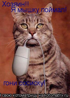 Хозяин!! Я мышку поймал! гони сосиску!... Котоматрица: Хозяин!! Я мышку поймал! гони сосиску!
