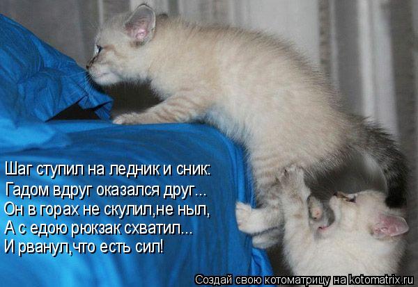Шаг ступил на ледник и сник: Гадом вдруг оказался друг... Он в горах не скулил,не ныл, А с едою рюкза... Котоматрица: Шаг ступил на ледник и сник: Гадом вдруг оказался друг... Он в горах не скулил,не ныл, А с едою рюкзак схватил... И рванул,что есть сил!