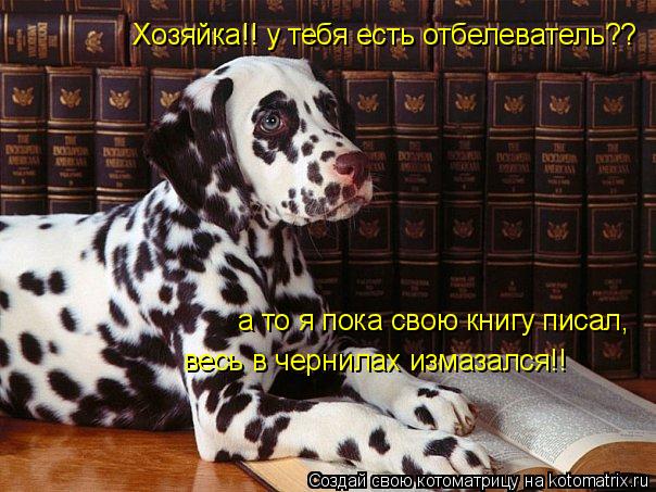 Хозяйка!! у тебя есть отбелеватель?? а то я пока свою книгу дописал, а то я пока свою книгу писал, ве... Котоматрица: Хозяйка!! у тебя есть отбелеватель?? а то я пока свою книгу дописал, а то я пока свою книгу писал, весь в чернилах измазался!!
