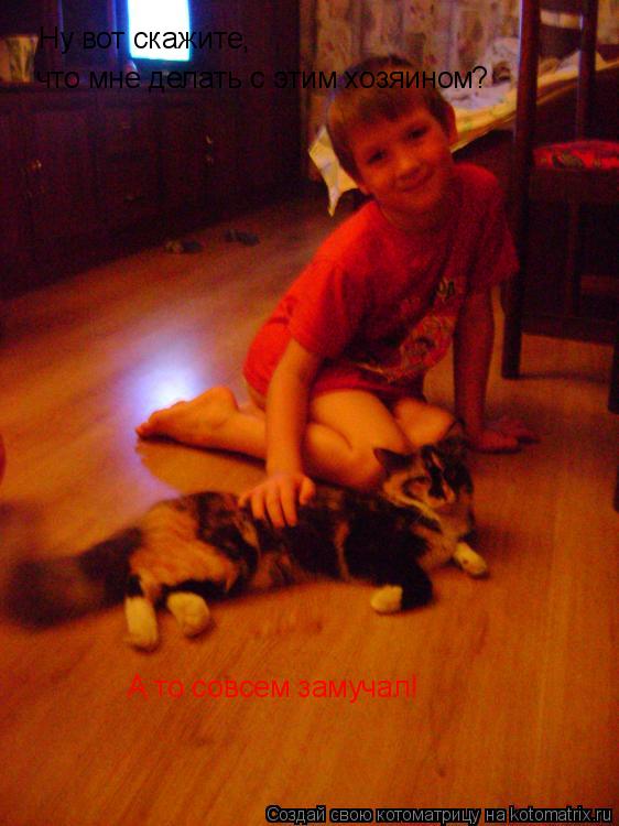 Ну вот скажите, что мне делать с этим хозяином ? А то совсем замучал!... Котоматрица: Ну вот скажите, что мне делать с этим хозяином ? А то совсем замучал!