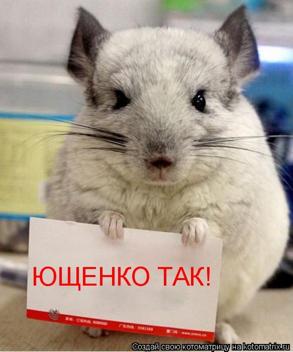 ЮЩЕНКО ТАК!... Котоматрица: ЮЩЕНКО ТАК!