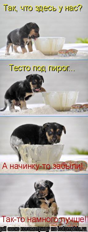Так, что здесь у нас? Тесто под пирог... А начинку-то забыли! Так-то намного лучше!!!... Котоматрица: Так, что здесь у нас? Тесто под пирог... А начинку-то забыли! Так-то намного лучше!!!