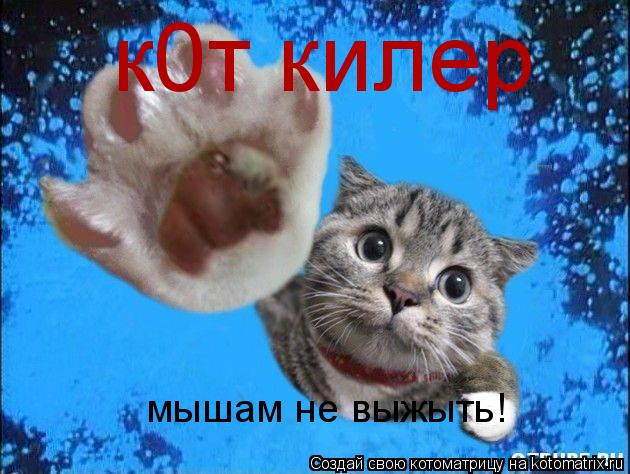 к0т килер мышам не выжыть!... Котоматрица: к0т килер мышам не выжыть!