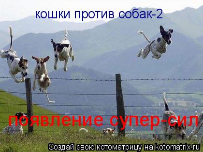 кошки против собак-2 появление супер-сил... Котоматрица: кошки против собак-2 появление супер-сил