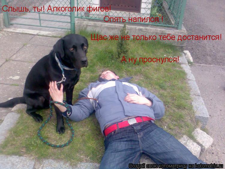 Слышь, ты! Алкоголик фигов! Опять напился ! Щас же не только тебе достанится! А ну проснулся!... Котоматрица: Слышь, ты! Алкоголик фигов! Опять напился ! Щас же не только тебе достанится! А ну проснулся!