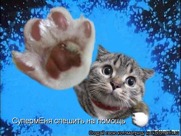 СупермЕня спешить на помощь... Котоматрица: СупермЕня спешить на помощь