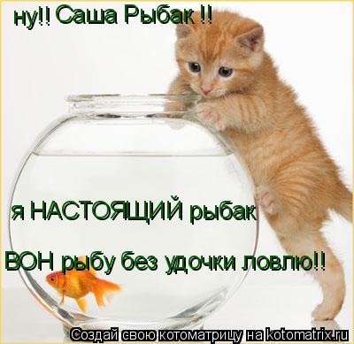 ну!! Саша Рыбак !! я НАСТОЯЩИЙ рыбак ВОН рыбу без удочки ловлю!!... Котоматрица: ну!! Саша Рыбак !! я НАСТОЯЩИЙ рыбак ВОН рыбу без удочки ловлю!!