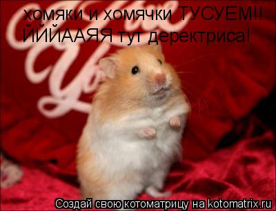хомяки и хомячки ТУСУЕМ!! ЙЙЙААЯЯ тут деректриса!... Котоматрица: хомяки и хомячки ТУСУЕМ!! ЙЙЙААЯЯ тут деректриса!
