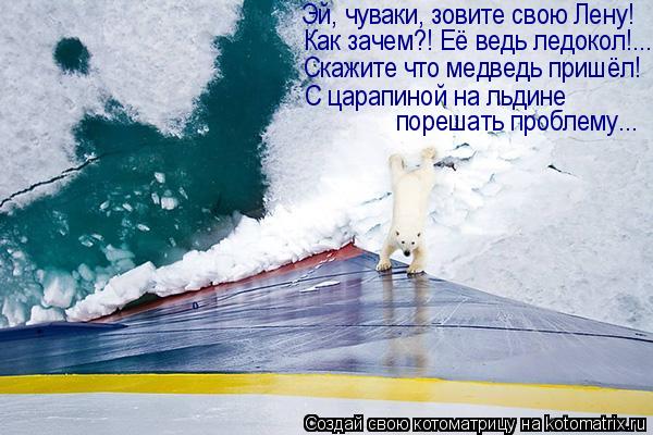 Эй, чуваки, зовите свою Лену! Как зачем?! Её ведь ледокол!... Скажите что медведь пришёл! С царапиной... Котоматрица: Эй, чуваки, зовите свою Лену! Как зачем?! Её ведь ледокол!... Скажите что медведь пришёл! С царапиной на льдине порешать проблему...