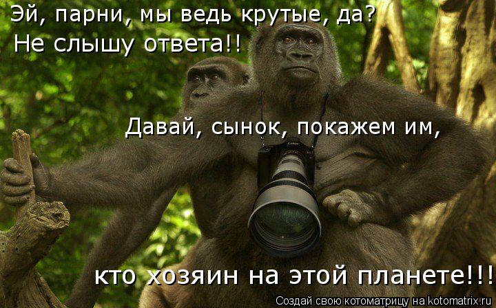 Эй, парни, мы ведь крутые, да? Не слышу ответа!! Давай, сынок, покажем им, кто хозяин на этой планете... Котоматрица: Эй, парни, мы ведь крутые, да? Не слышу ответа!! Давай, сынок, покажем им, кто хозяин на этой планете!!!