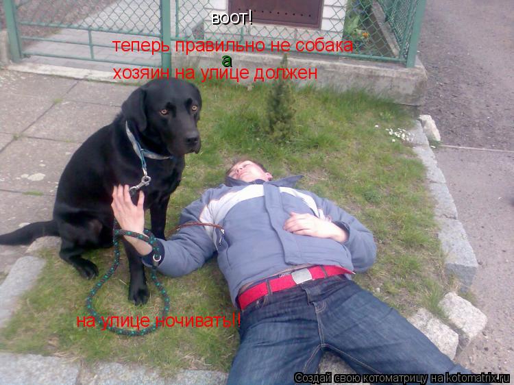 воот! теперь правильно не собака а хозяин на улице должен на улице ночивать!!... Котоматрица: воот! теперь правильно не собака а хозяин на улице должен на улице ночивать!!