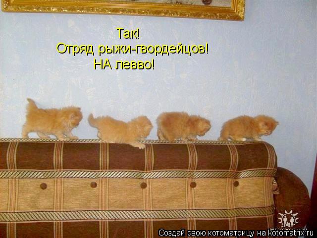Так! Отряд рыжи-гвордейцов! НА левво!... Котоматрица: Так! Отряд рыжи-гвордейцов! НА левво!