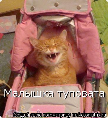 Малышка туповата... Котоматрица: Малышка туповата