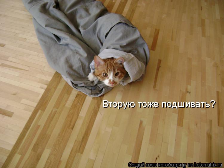 Котоматрица: Вторую тоже подшивать?