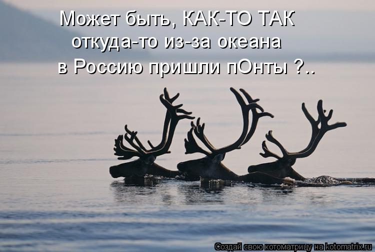 Может быть, КАК-ТО ТАК откуда-то из-за океана в Россию пришли пОнты ?..... Котоматрица: Может быть, КАК-ТО ТАК откуда-то из-за океана в Россию пришли пОнты ?..