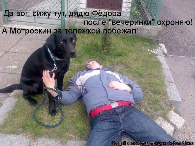 Да вот, сижу тут, дядю Фёдора после "вечеринки" охроняю! А Мотроскин за тележкой побежал!... Котоматрица: Да вот, сижу тут, дядю Фёдора после "вечеринки" охроняю! А Мотроскин за тележкой побежал!