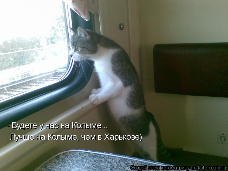 - Будете у нас на Колыме... Лучше на Колыме, чем в Харькове)... Котоматрица: - Будете у нас на Колыме... Лучше на Колыме, чем в Харькове)