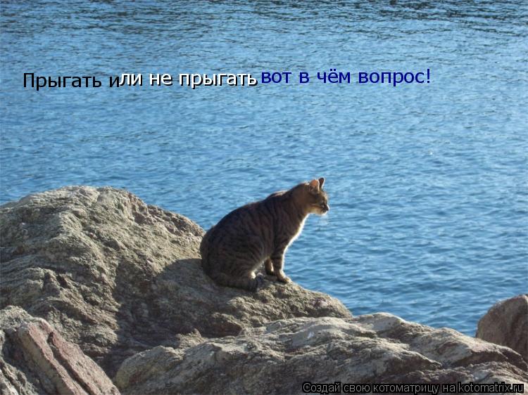 Прыгать и ли не прыгать вот в чём вопрос!... Котоматрица: Прыгать и ли не прыгать вот в чём вопрос!