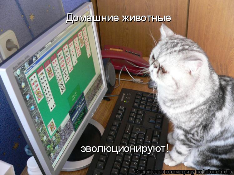 Домашние животные эволюционируют!... Котоматрица: Домашние животные эволюционируют!