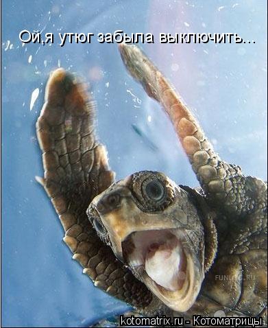 Ой,я утюг забыла выключить...... Котоматрица: Ой,я утюг забыла выключить...