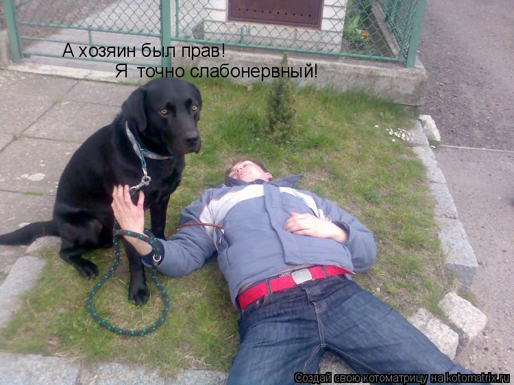 А хозяин был прав! Я точно слабонервный!... Котоматрица: А хозяин был прав! Я точно слабонервный!
