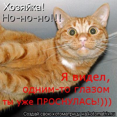 Хозяйка! Но-но-но!!! ты уже ПРОСНУЛАСЬ!))) одним-то глазом Я видел,... Котоматрица: Хозяйка! Но-но-но!!! ты уже ПРОСНУЛАСЬ!))) одним-то глазом Я видел,
