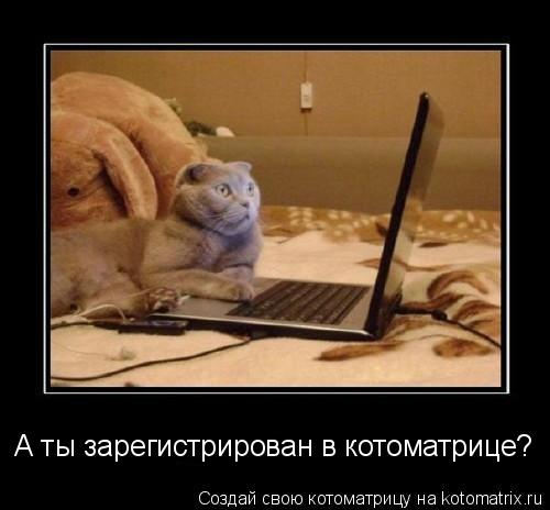 А ты зарегистрирован в котоматрице?... Котоматрица: А ты зарегистрирован в котоматрице?