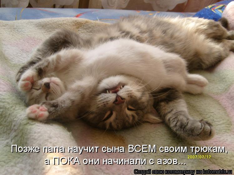 Позже папа научит сына ВСЕМ своим трюкам, а ПОКА они начинали с азов...... Котоматрица: Позже папа научит сына ВСЕМ своим трюкам, а ПОКА они начинали с азов...