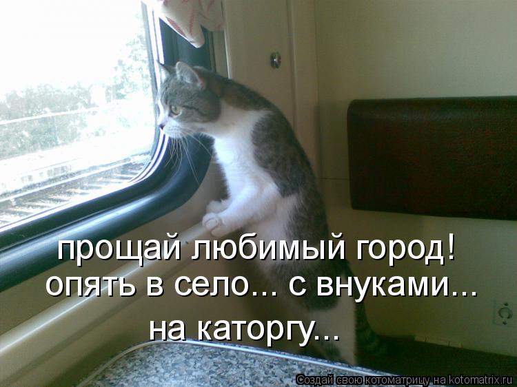 прощай любимый город! опять в село... с внуками... на каторгу...... Котоматрица: прощай любимый город! опять в село... с внуками... на каторгу...