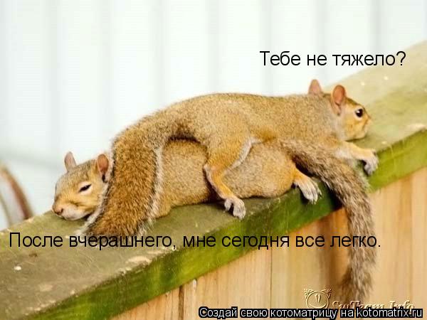 Тебе не тяжело? После вчерашнего, мне сегодня все легко.... Котоматрица: Тебе не тяжело? После вчерашнего, мне сегодня все легко.