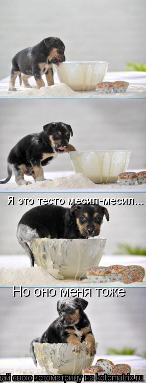 Я это тесто месил-месил... Но оно меня тоже... Котоматрица: Я это тесто месил-месил... Но оно меня тоже
