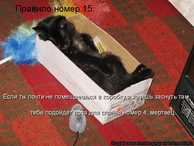 Правило номер 15: Если ты почти не помещаешься в коробку,а хочешь заснуть там, тебе подойдёт поза для... Котоматрица: Правило номер 15: Если ты почти не помещаешься в коробку,а хочешь заснуть там, тебе подойдёт поза для спанья номер 4: мертвец.