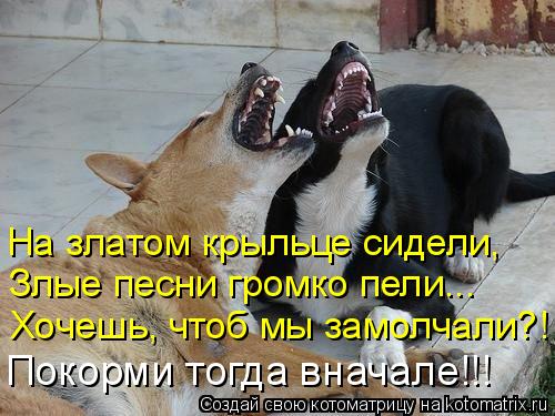 Хочешь, чтоб мы замолчали?! Злые песни громко пели... На златом крыльце сидели, Покорми тогда вначале... Котоматрица: Хочешь, чтоб мы замолчали?! Злые песни громко пели... На златом крыльце сидели, Покорми тогда вначале!!!
