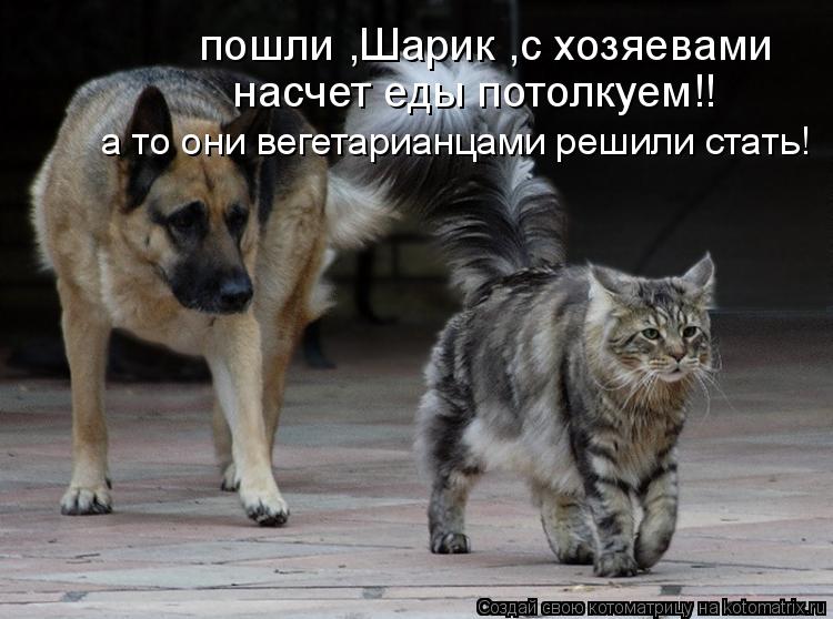 пошли ,Шарик ,с хозяевами насчет еды потолкуем!! а то они вегетарианцами решили стать!... Котоматрица: пошли ,Шарик ,с хозяевами насчет еды потолкуем!! а то они вегетарианцами решили стать!