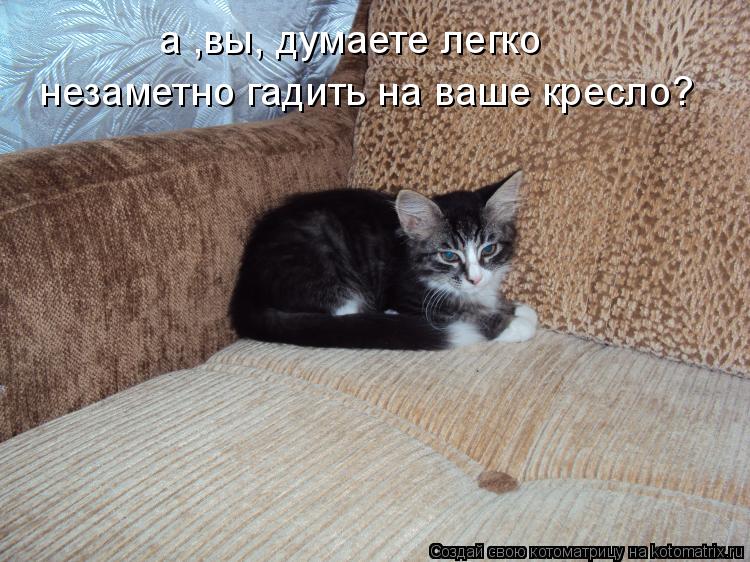 а ,вы, думаете легко незаметно гадить на ваше кресло?... Котоматрица: а ,вы, думаете легко незаметно гадить на ваше кресло?