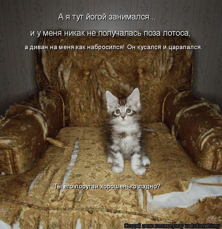 А я тут йогой занимался... и у меня никак не получалась поза лотоса, а диван на меня как набросился! ... Котоматрица: А я тут йогой занимался... и у меня никак не получалась поза лотоса, а диван на меня как набросился! Он кусался и царапался. Ты его поругай хор