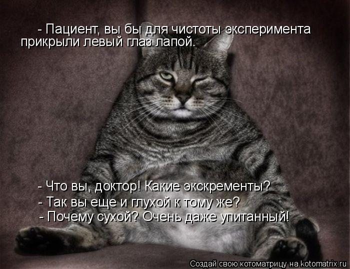 - Пациент, вы бы для чистоты эксперимента прикрыли левый глаз лапой. - Что вы, доктор! Какие экск... Котоматрица: - Пациент, вы бы для чистоты эксперимента прикрыли левый глаз лапой. - Что вы, доктор! Какие экскременты? - Так вы еще и глухой к тому же? - П