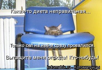Какая-то диета неправильная... Только сел на неё-и сразу провалился. Вытащите меня отсюда! Кто-нибудь... Котоматрица: Какая-то диета неправильная... Только сел на неё-и сразу провалился. Вытащите меня отсюда! Кто-нибудь!
