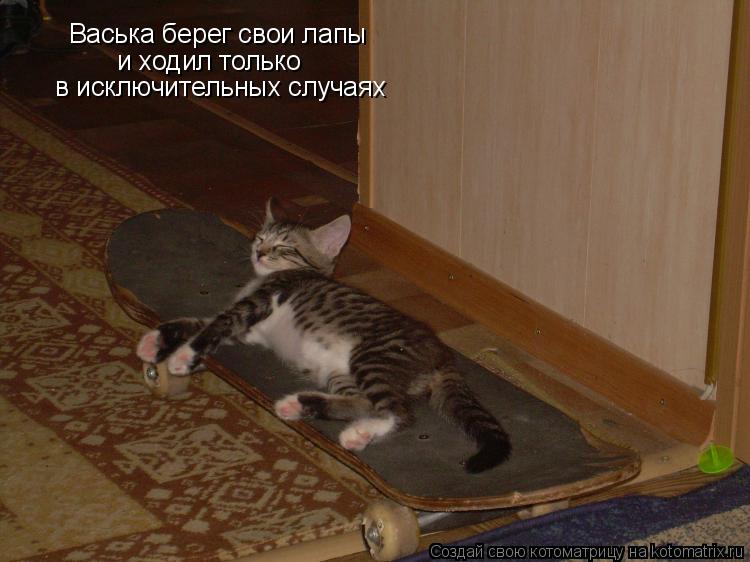Васька берег свои лапы и ходил только в исключительных случаях... Котоматрица: Васька берег свои лапы и ходил только в исключительных случаях
