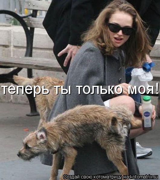 теперь ты только моя!... Котоматрица: теперь ты только моя!