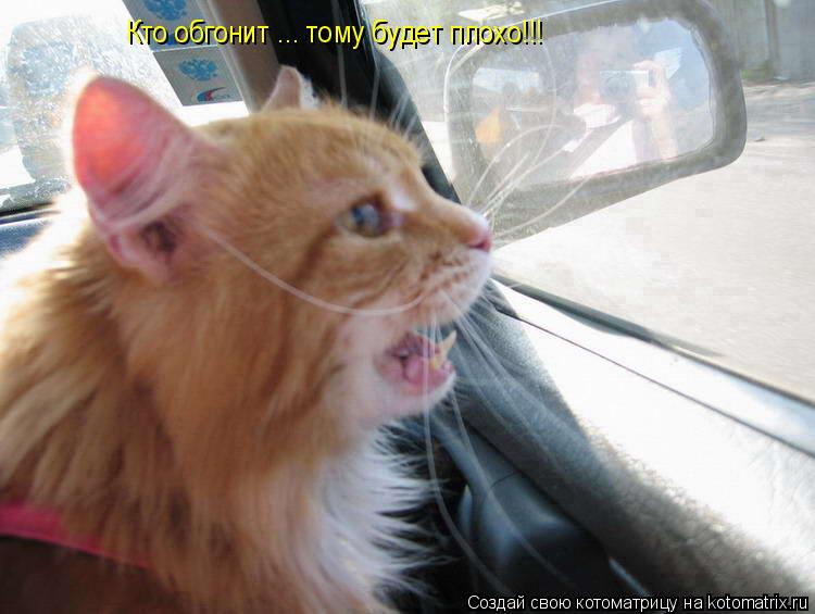 Кто обгонит ... тому будет плохо!!!... Котоматрица: Кто обгонит ... тому будет плохо!!!