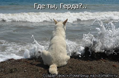 Где ты, Герда?..... Котоматрица: Где ты, Герда?..