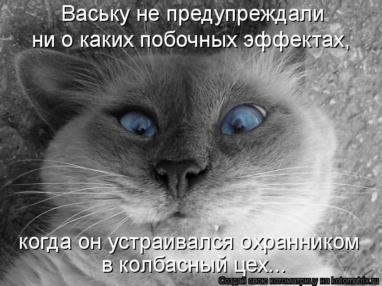 в колбасный цех... когда он устраивался охранником Ваську не предупреждали ни о каких побочных эффек... Котоматрица: в колбасный цех... когда он устраивался охранником Ваську не предупреждали ни о каких побочных эффектах,