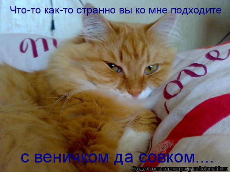 Что-то как-то странно вы ко мне подходите с веничком да совком....... Котоматрица: Что-то как-то странно вы ко мне подходите с веничком да совком....