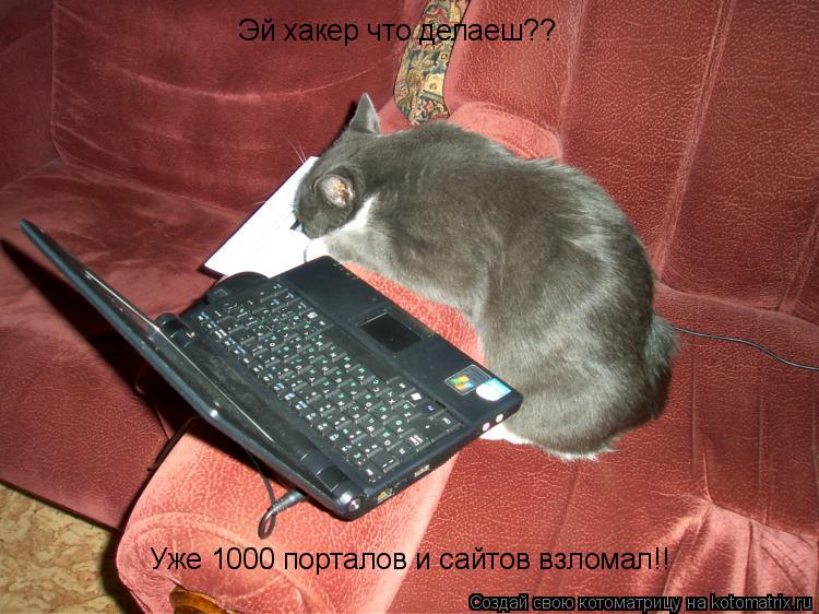 Уже 1000 порталов и сайтов взломал!! Эй хакер что делаеш??... Котоматрица: Уже 1000 порталов и сайтов взломал!! Эй хакер что делаеш??