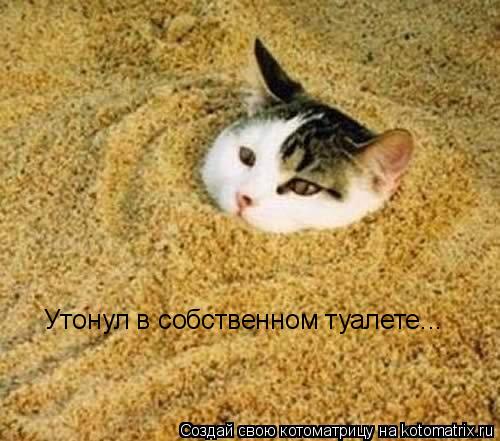 Утонул в собственном туалете...... Котоматрица: Утонул в собственном туалете...