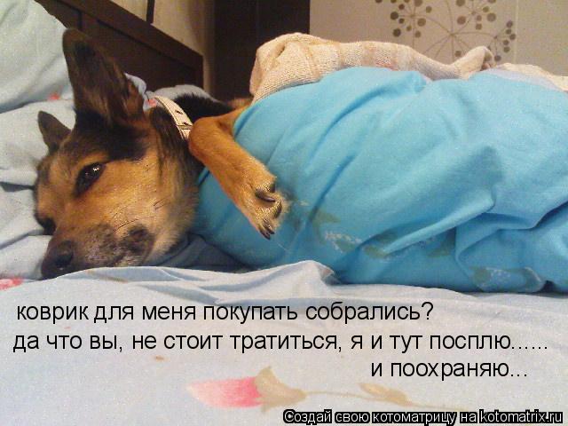 коврик для меня покупать собрались? да что вы, не стоит тратиться, я и тут посплю...... и поохраняю..... Котоматрица: коврик для меня покупать собрались? да что вы, не стоит тратиться, я и тут посплю...... и поохраняю...