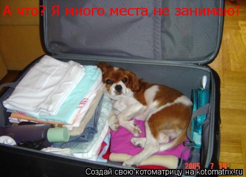 А что? Я много места не занимаю!... Котоматрица: А что? Я много места не занимаю!