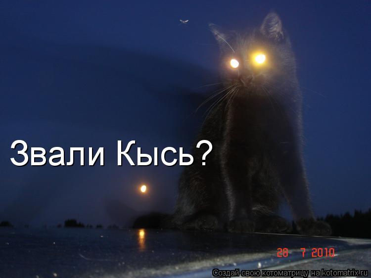 Звали Кысь?... Котоматрица: Звали Кысь?